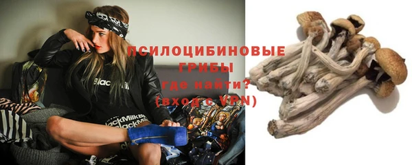 амф Абаза