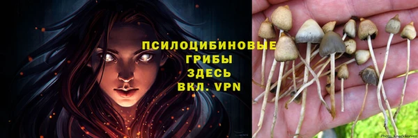 амф Абаза