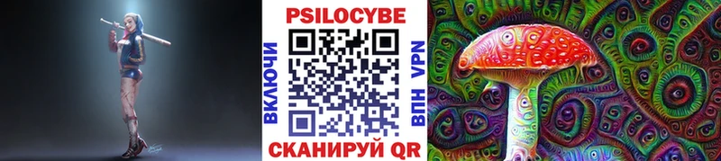 Псилоцибиновые грибы Psilocybine cubensis  Чулым 